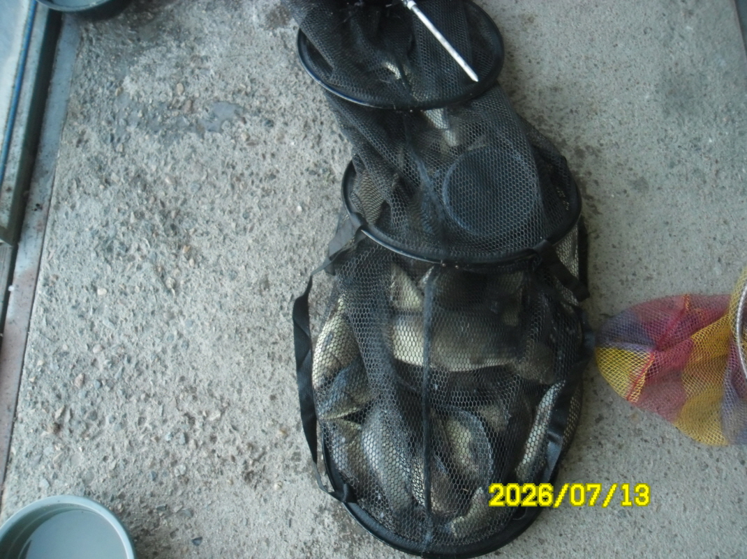 SAM_1256.JPG