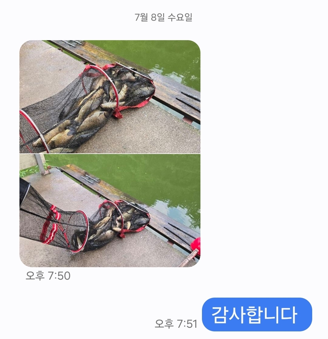 KakaoTalk_20260713_174136018.jpg