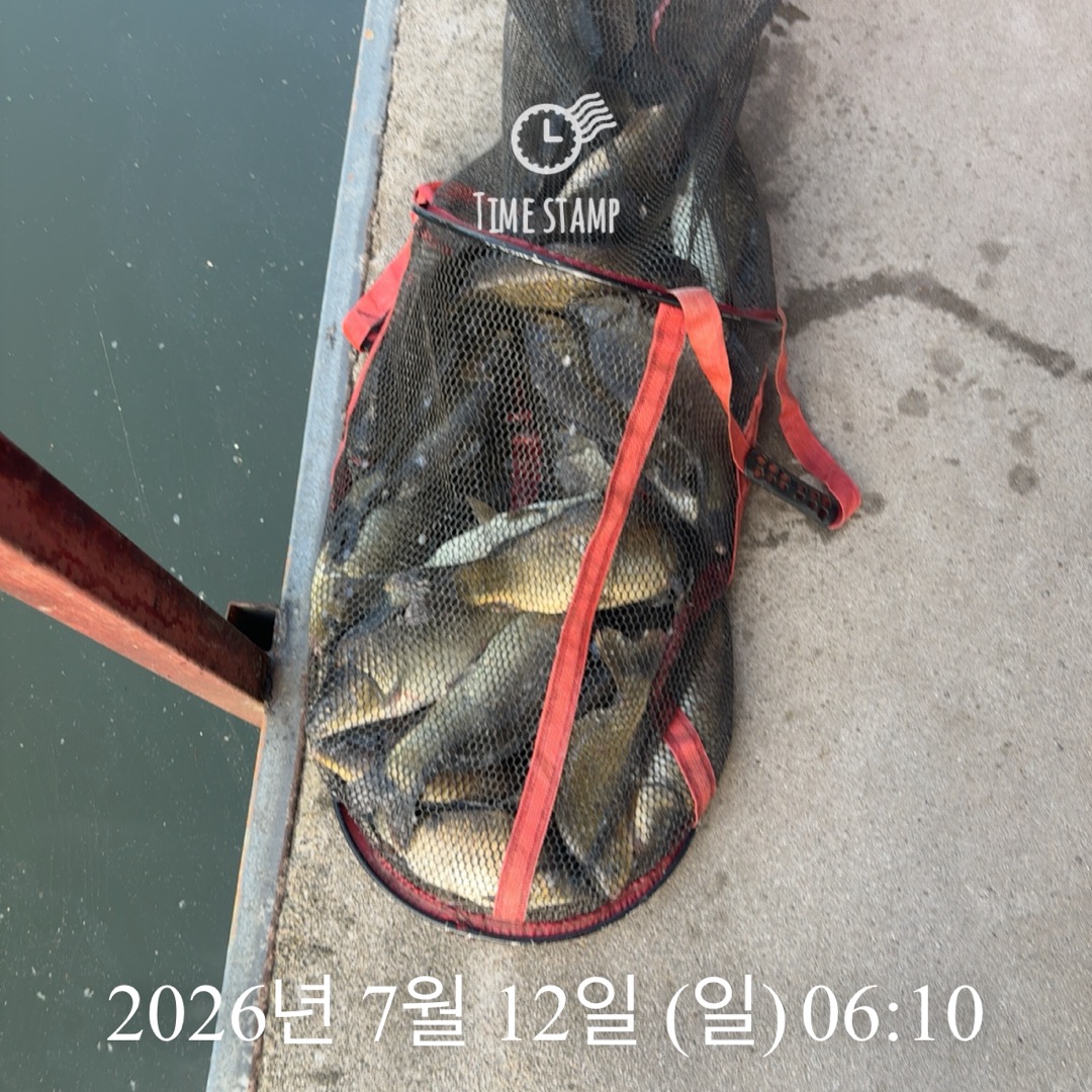 KakaoTalk_20260714_072415485_22.jpg