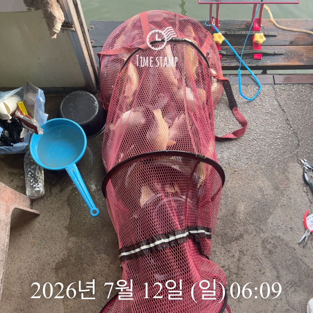KakaoTalk_20260714_072415485_24.jpg