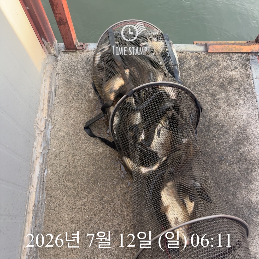 KakaoTalk_20260714_072415485_21.jpg