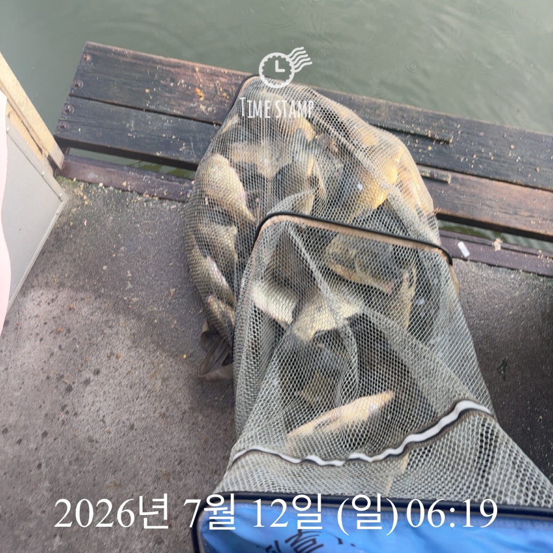 KakaoTalk_20260714_072415485_18.jpg