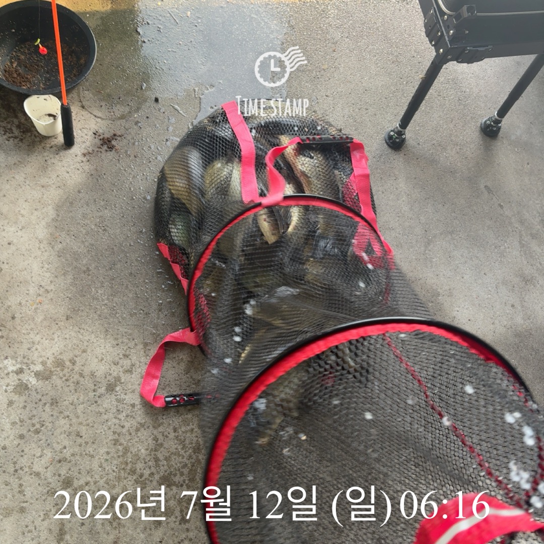 KakaoTalk_20260714_072415485_20.jpg