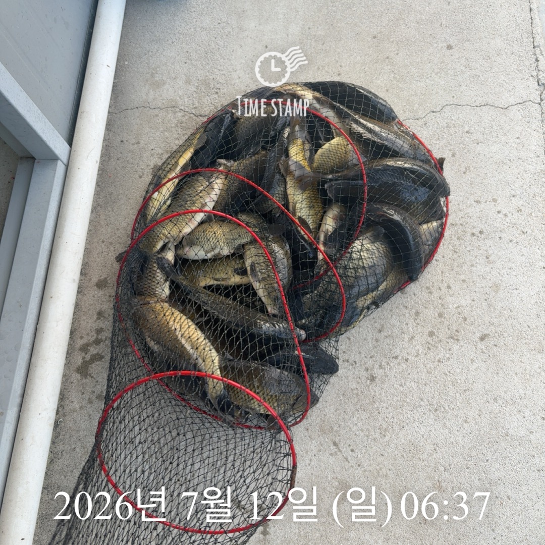 KakaoTalk_20260714_072415485_16.jpg