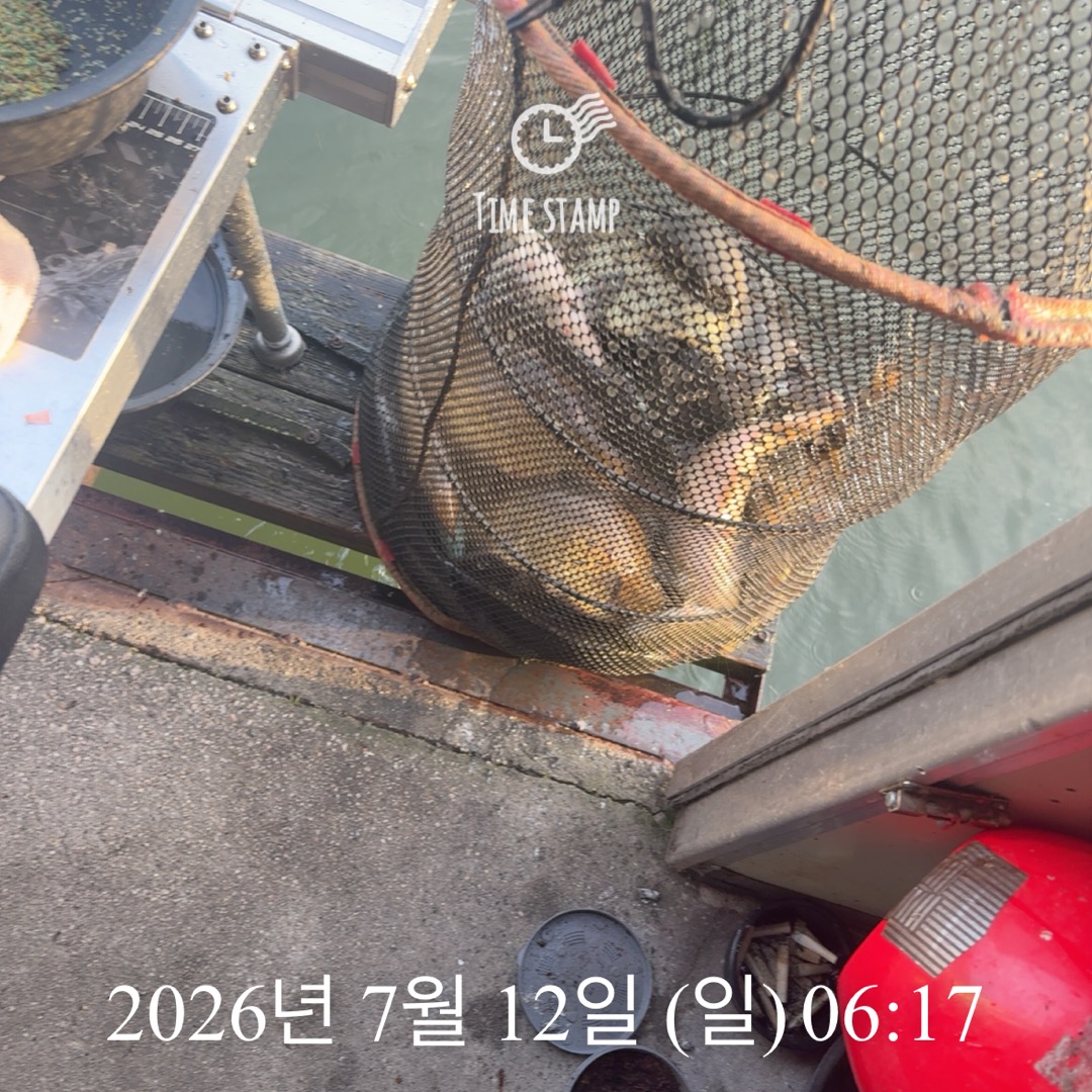 KakaoTalk_20260714_072415485_19.jpg