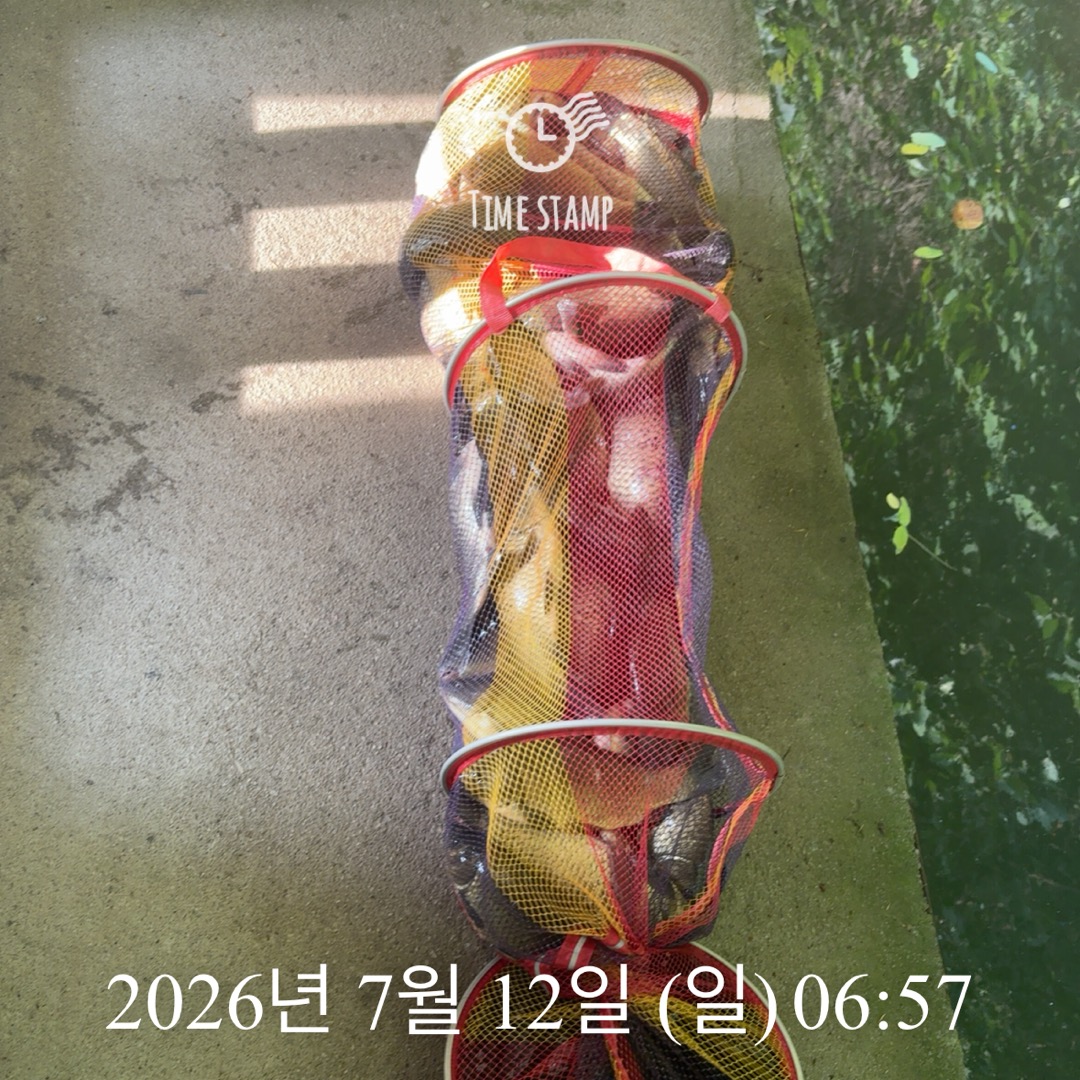 KakaoTalk_20260714_072415485_11.jpg