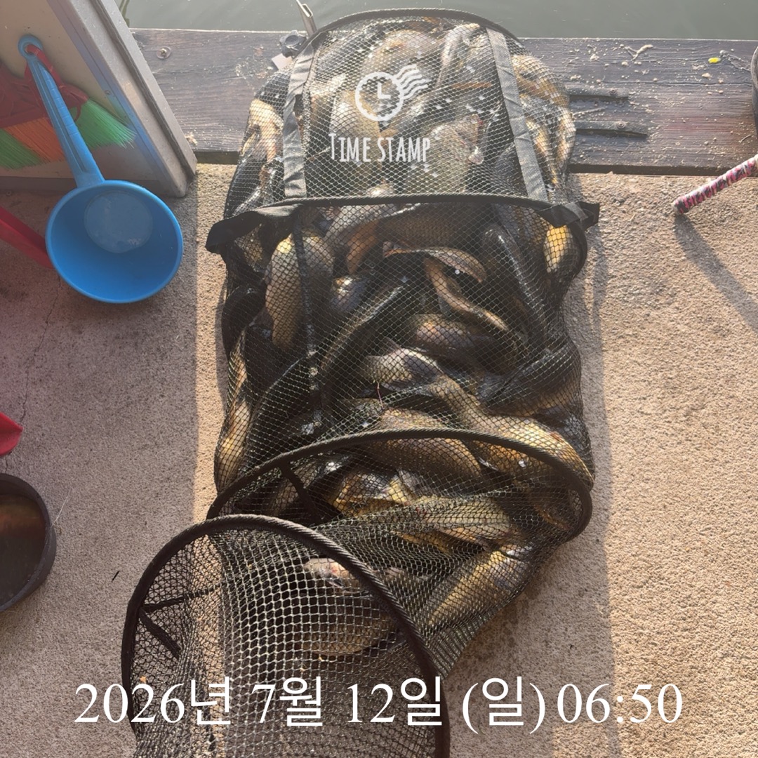 KakaoTalk_20260714_072415485_14.jpg