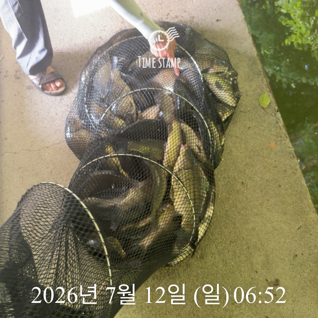 KakaoTalk_20260714_072415485_13.jpg