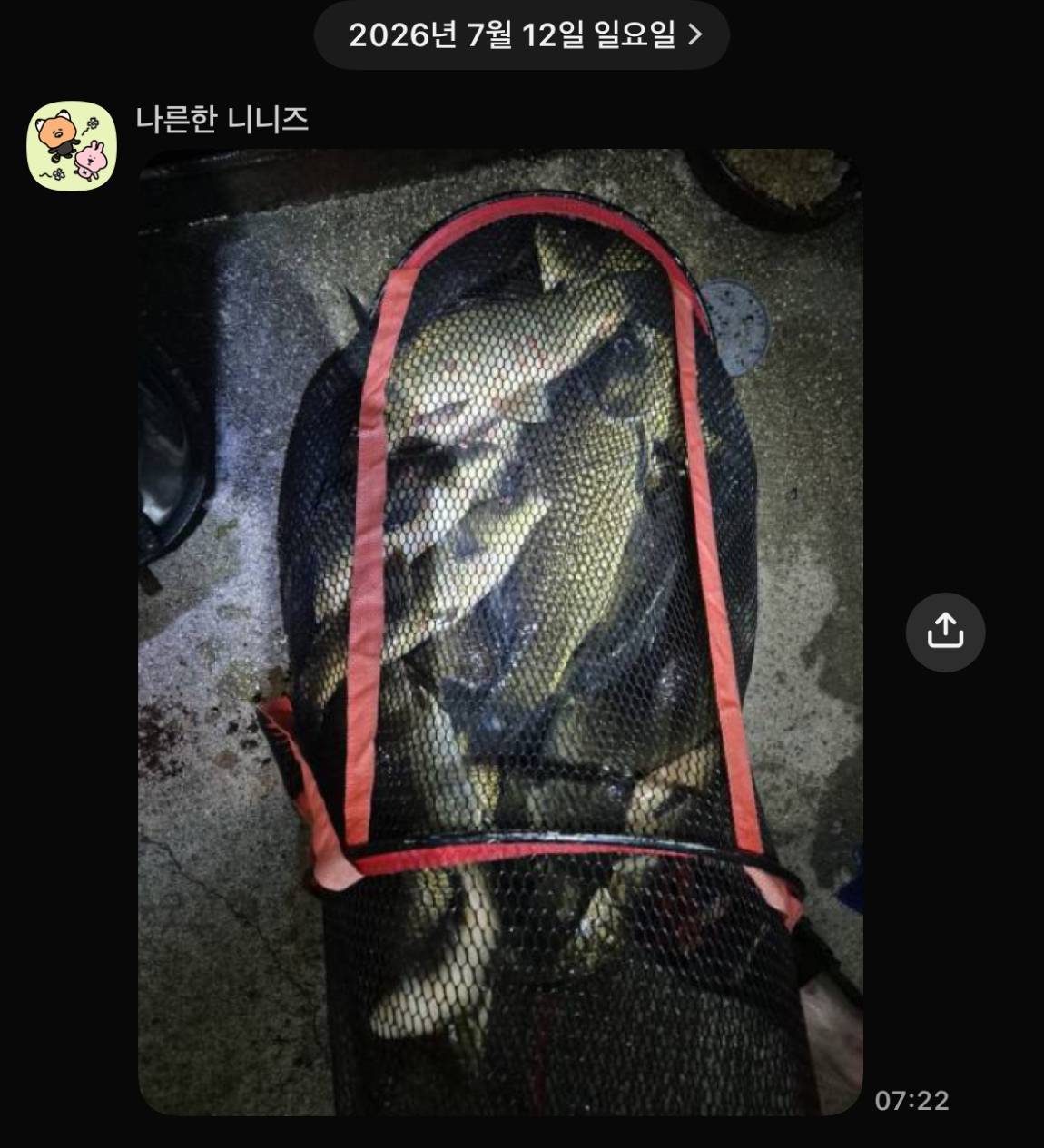 KakaoTalk_20260714_072415485_10.jpg