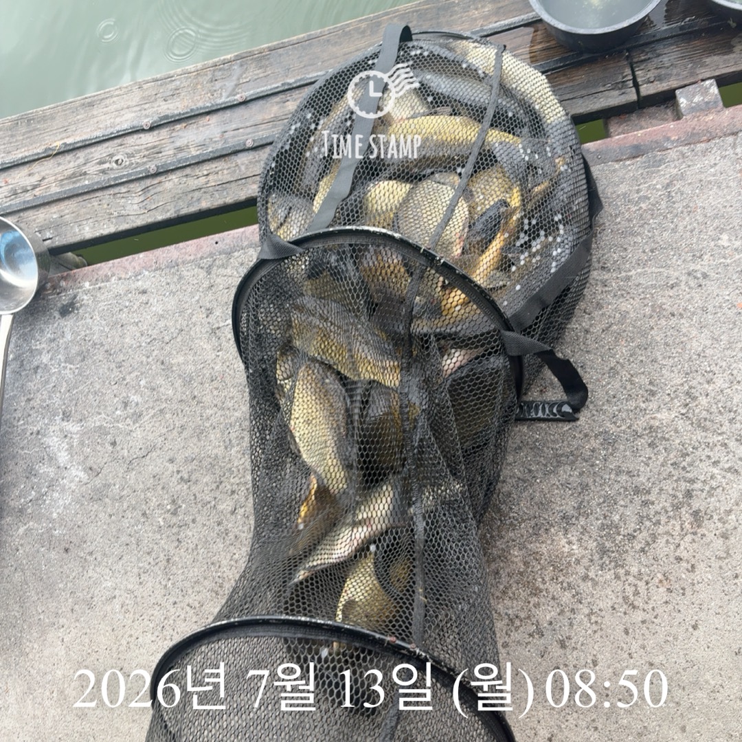 KakaoTalk_20260714_072415485_04.jpg