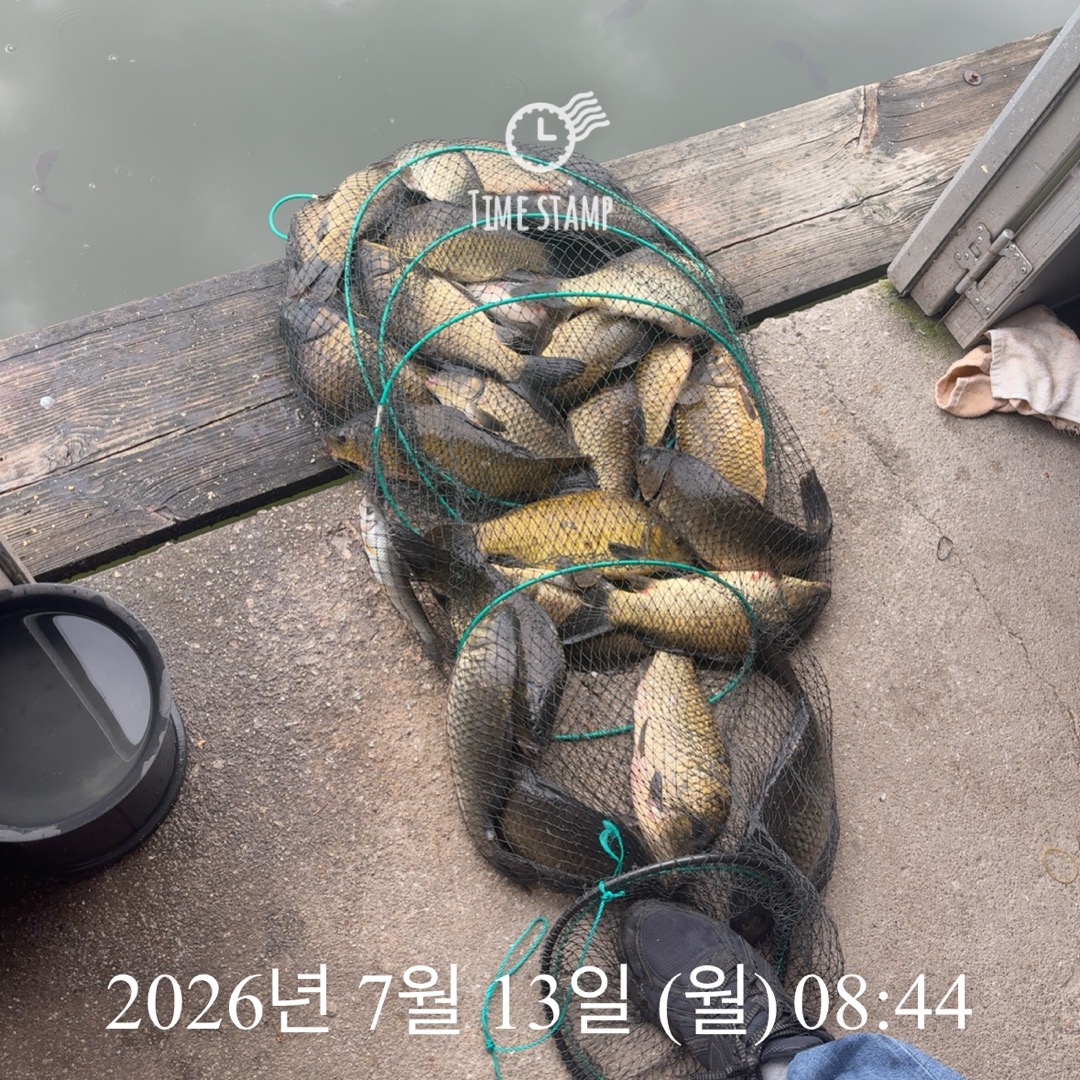 KakaoTalk_20260714_072415485_05.jpg