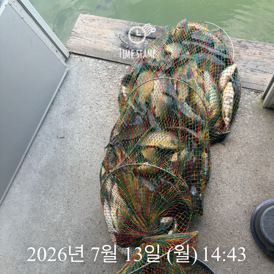 KakaoTalk_20260714_072415485_01.jpg