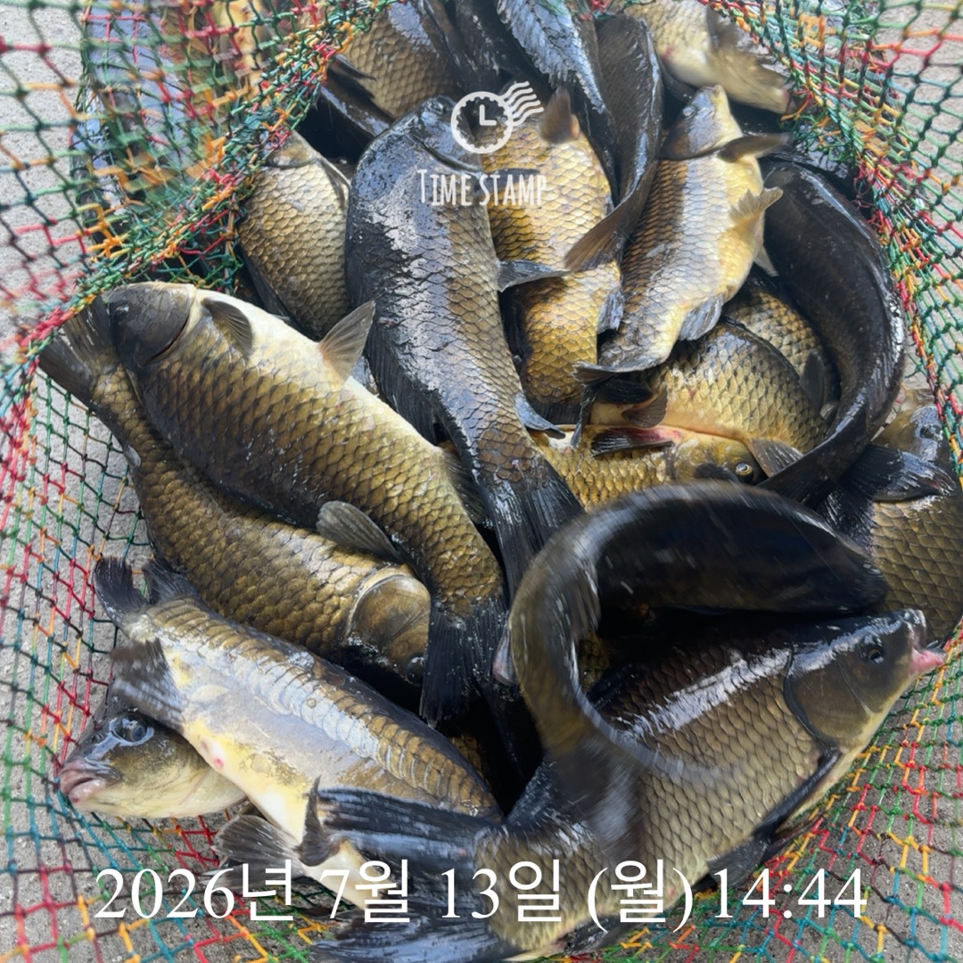 KakaoTalk_20260714_072415485.jpg