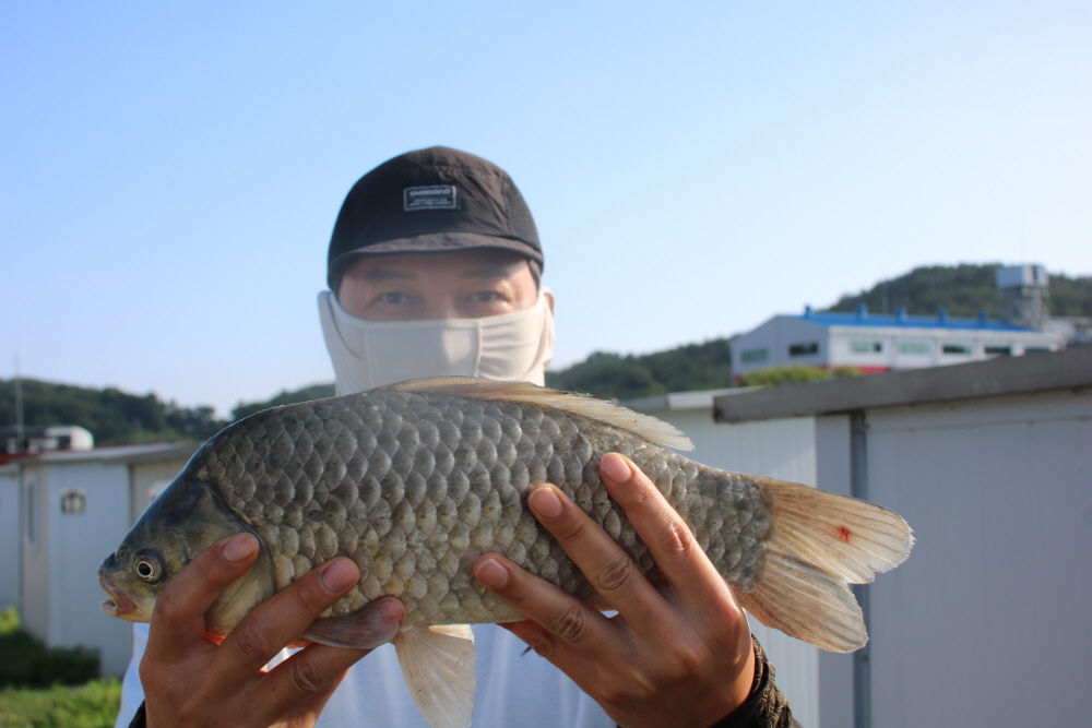 ũ�⺯ȯ_IMG_0810.JPG