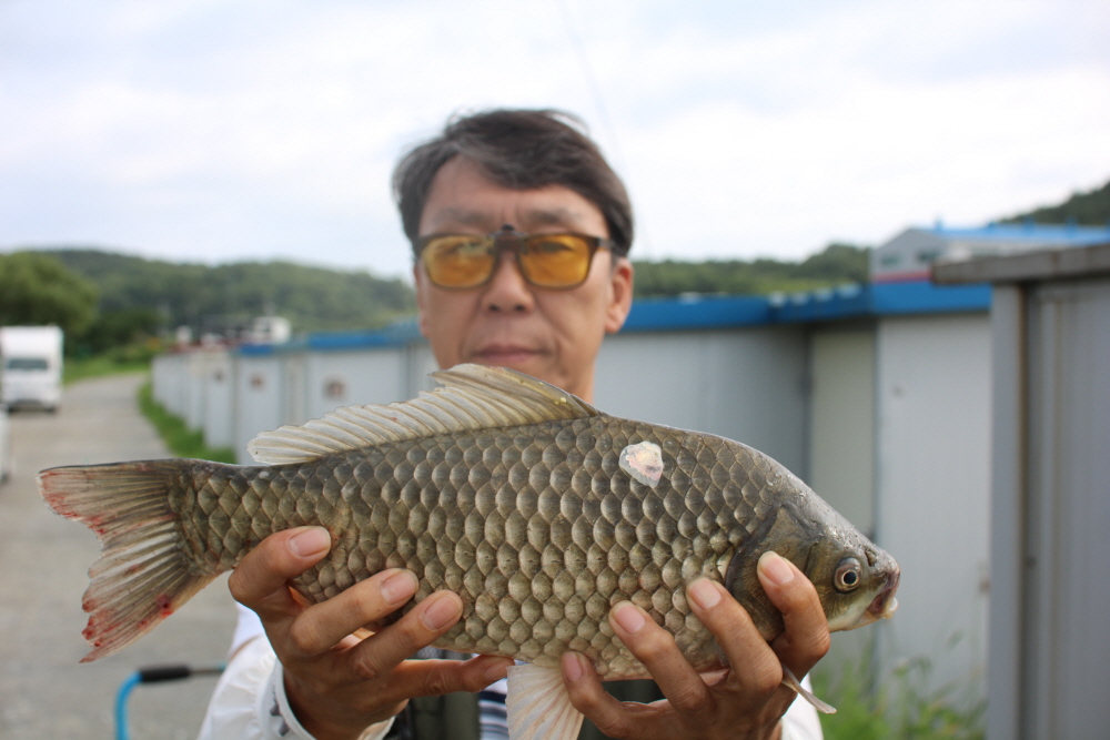 ũ�⺯ȯ_IMG_0827.JPG