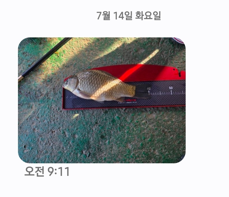 Screenshot_20260714_091159_Messages.jpg