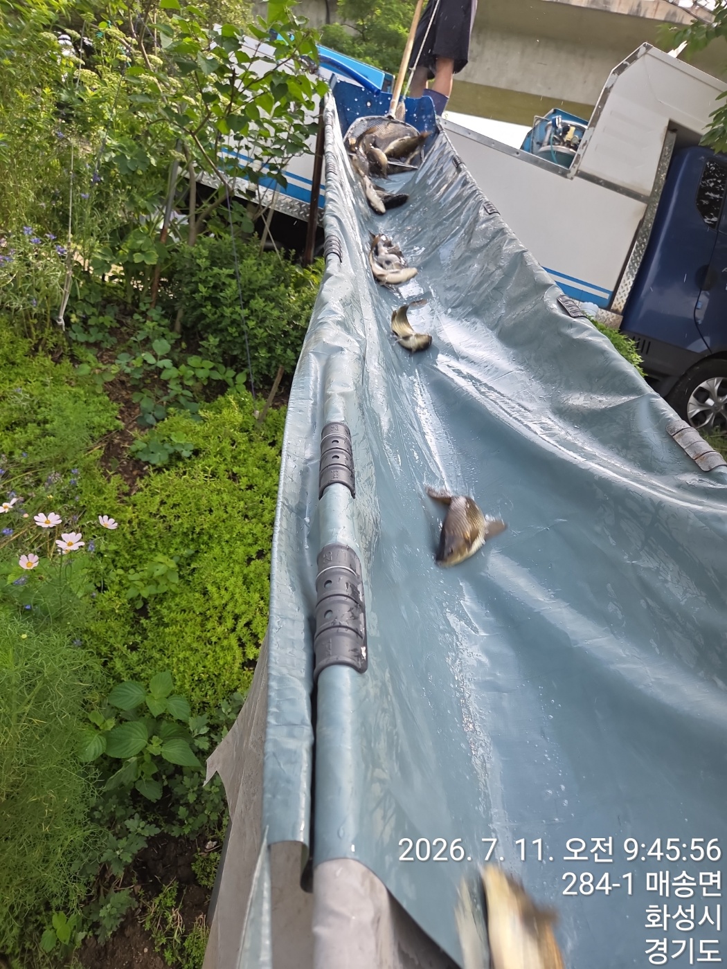 KakaoTalk_20260714_102648445.jpg