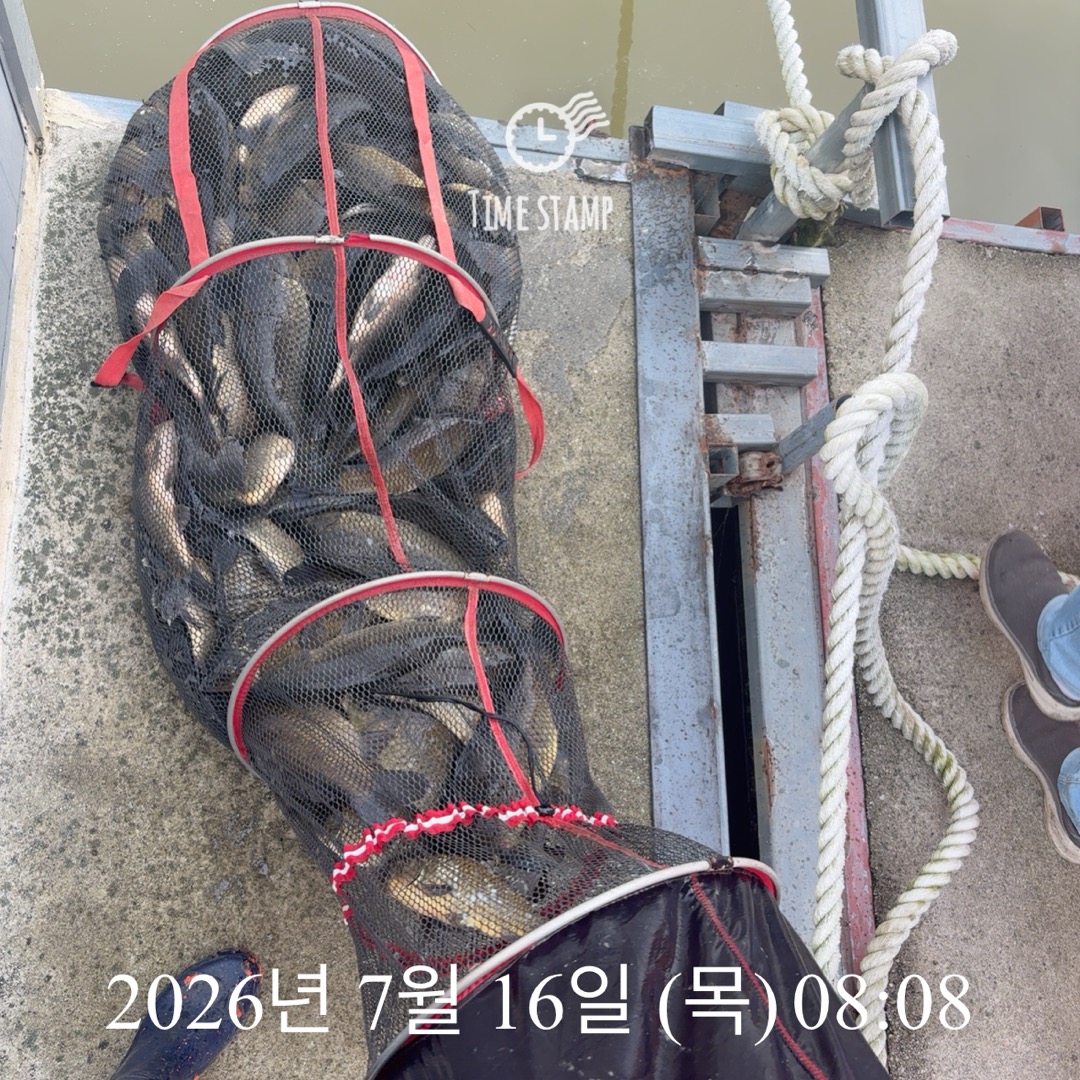 KakaoTalk_20260716_084321905_04.jpg