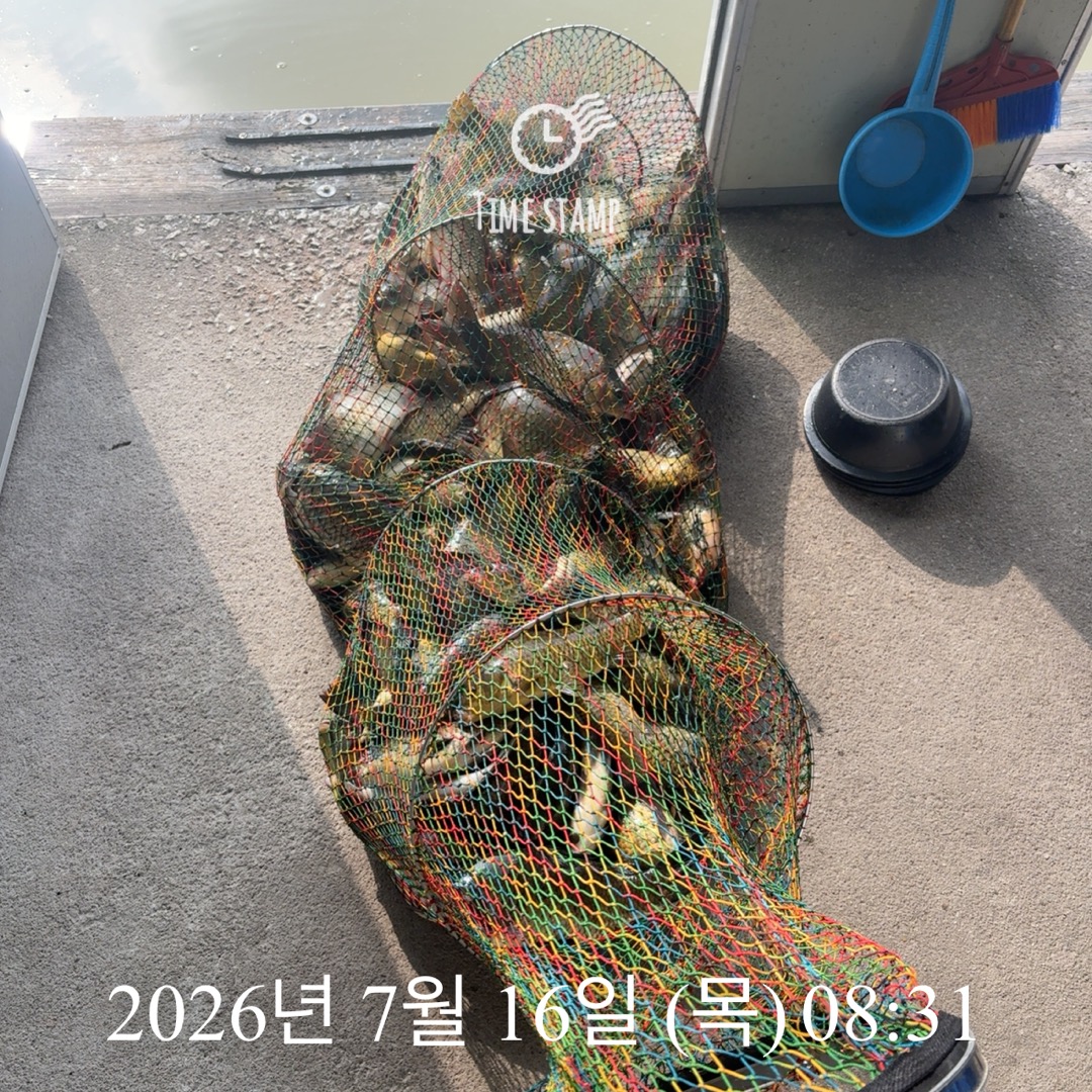 KakaoTalk_20260716_084321905_02.jpg