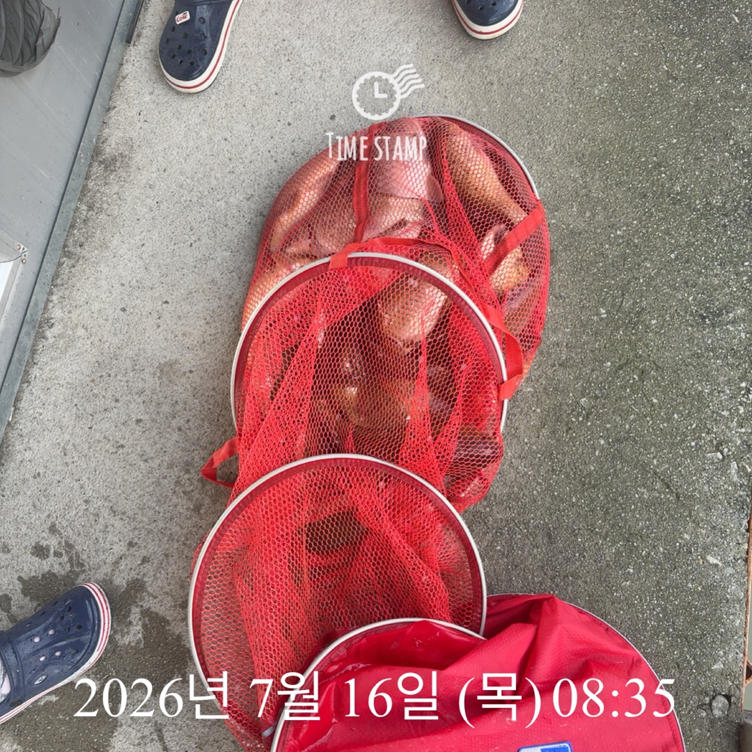 KakaoTalk_20260716_084321905.jpg