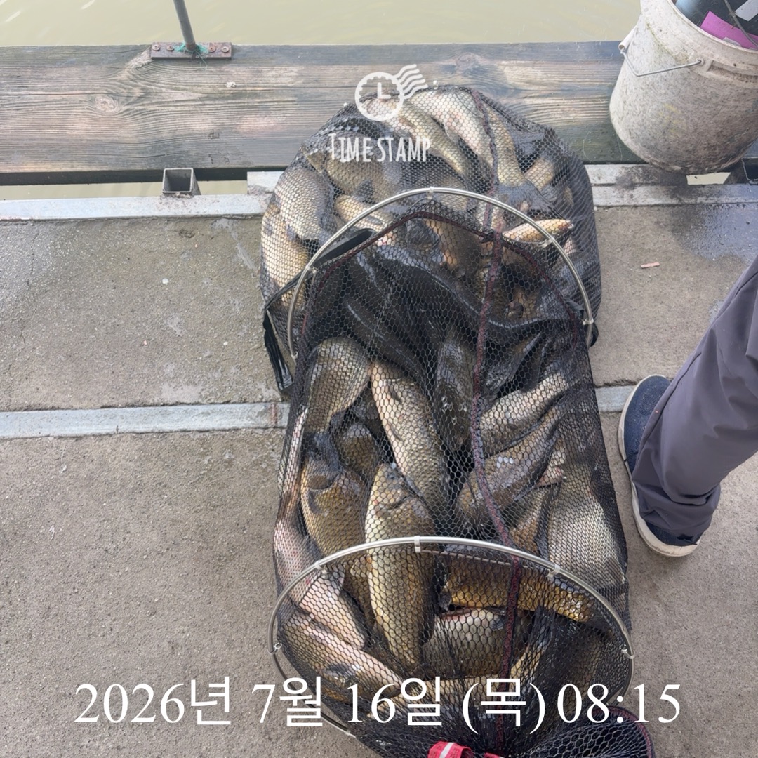 KakaoTalk_20260716_084321905_03.jpg