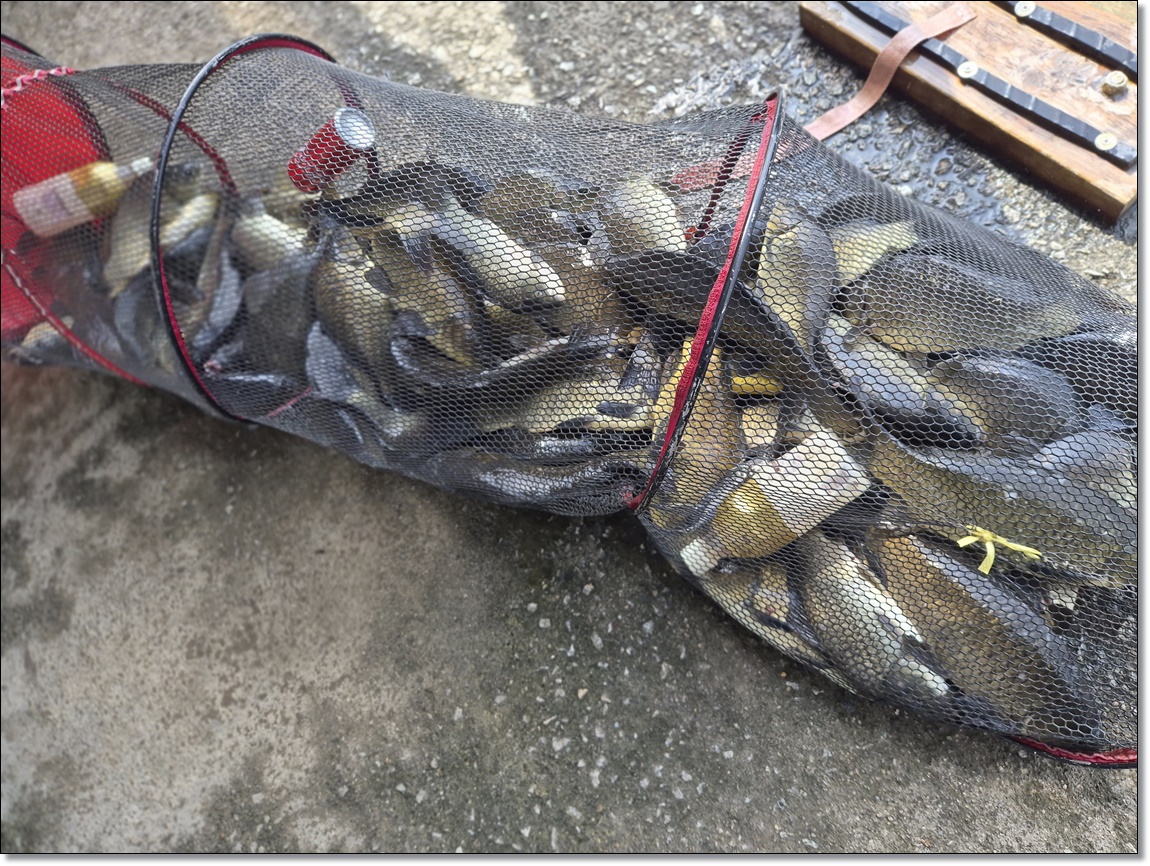 KakaoTalk_20260716_100705393_09.jpg
