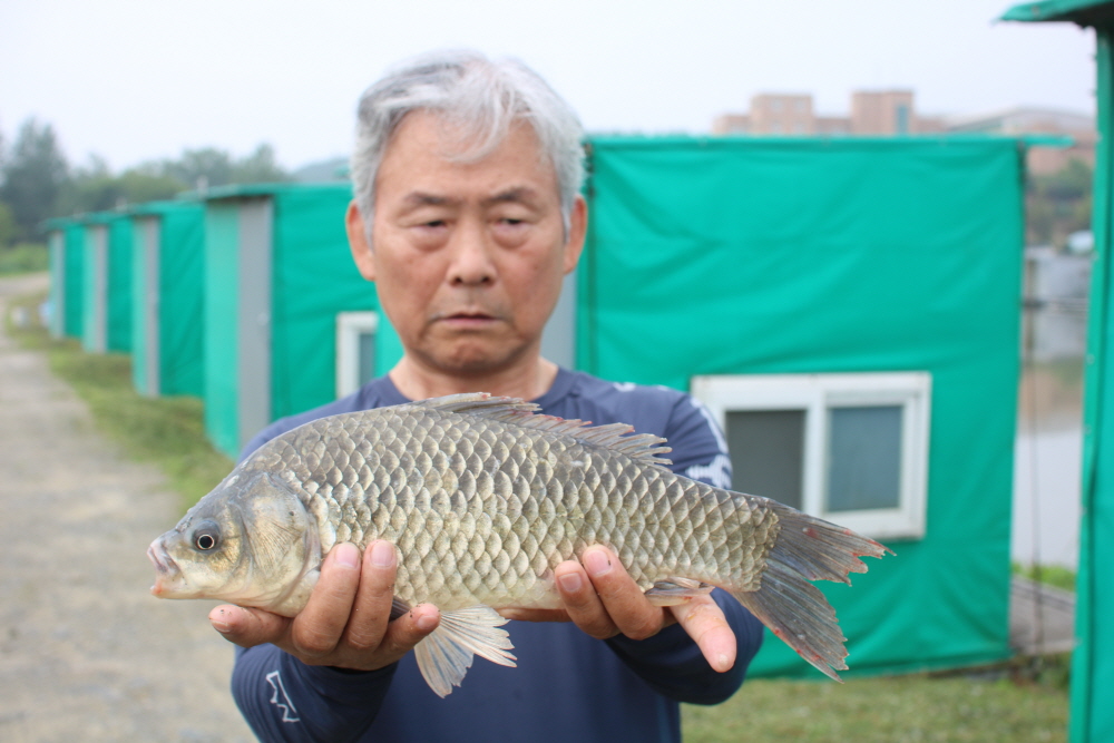 ũ�⺯ȯ_IMG_0952.JPG