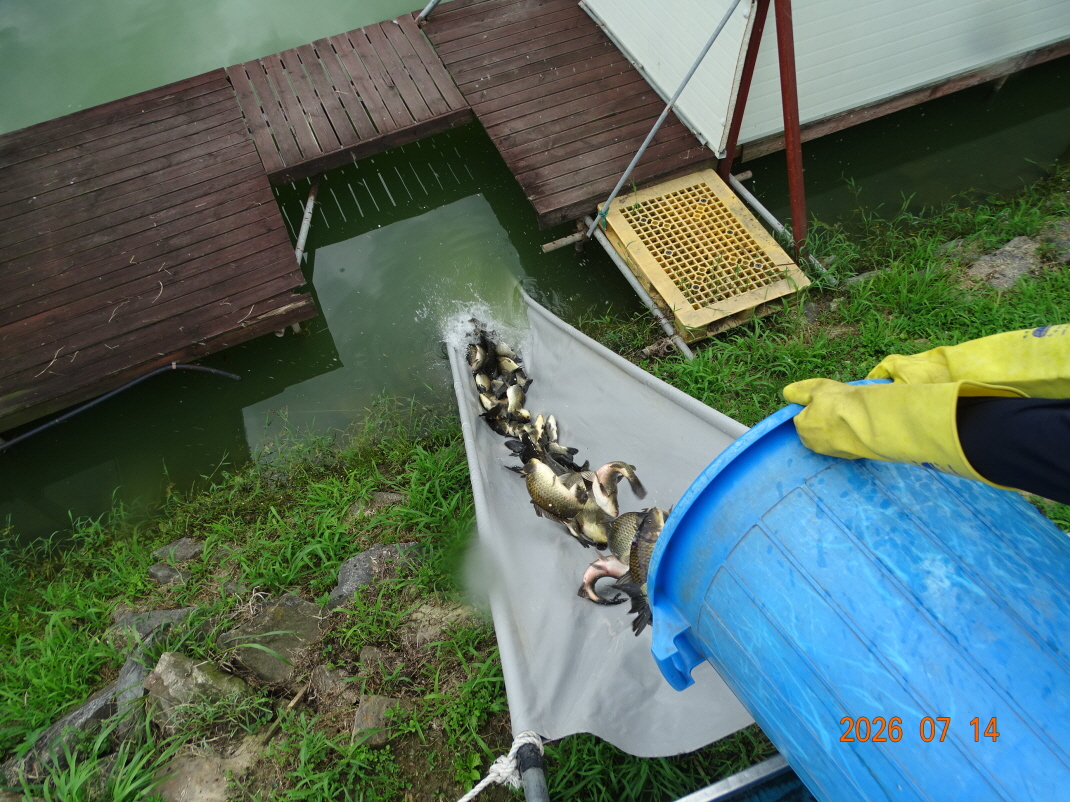 DSC06214.JPG