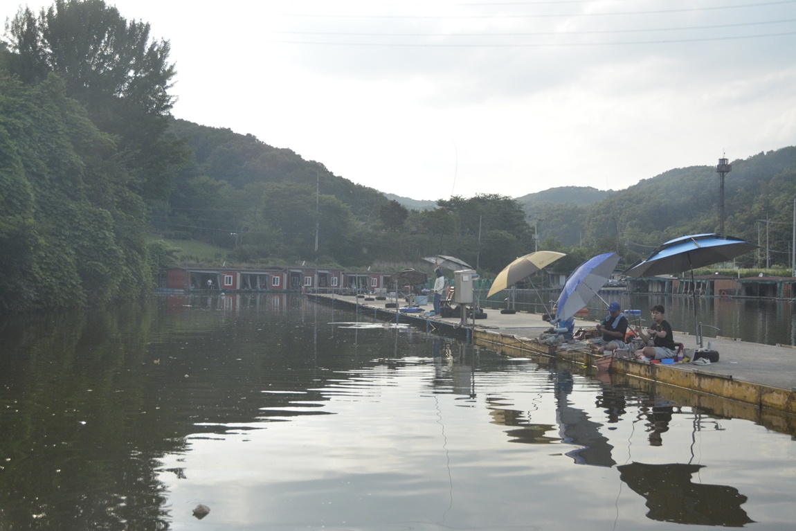 _7104417.JPG
