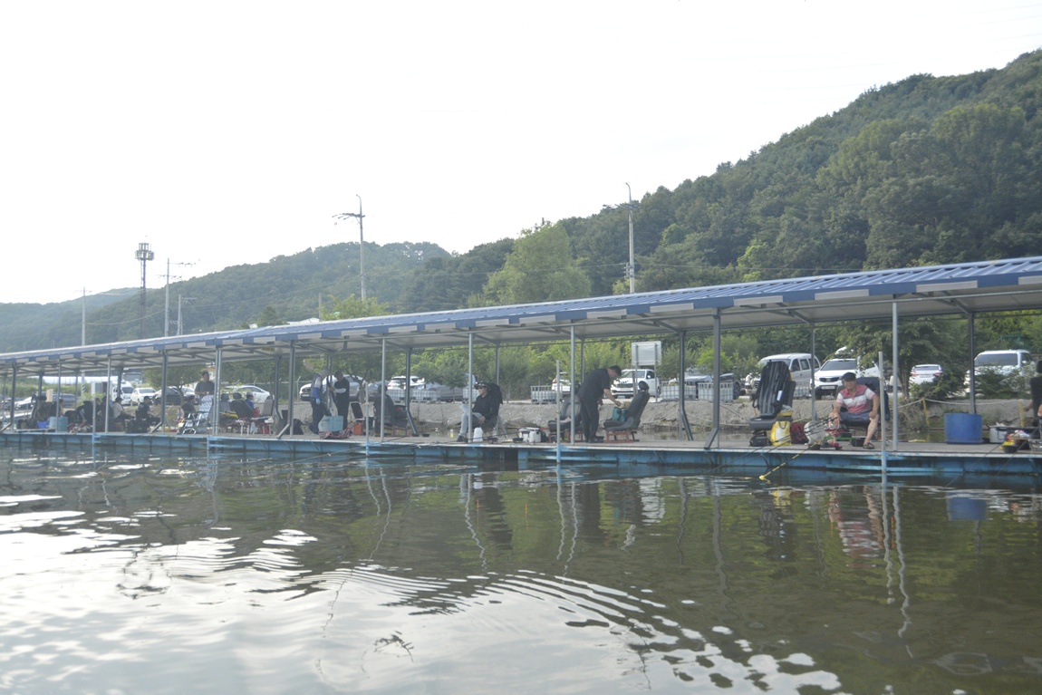 _7104452.JPG