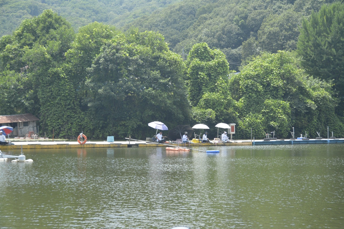 _7104458.JPG