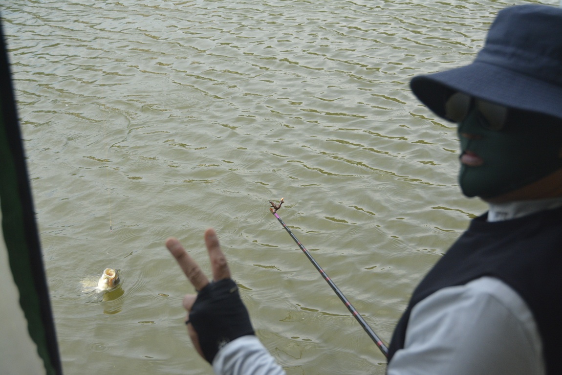 _7104490.JPG