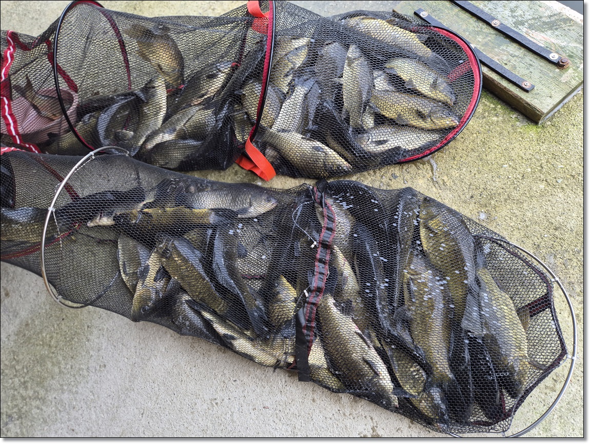 KakaoTalk_20260717_085512282_10.jpg