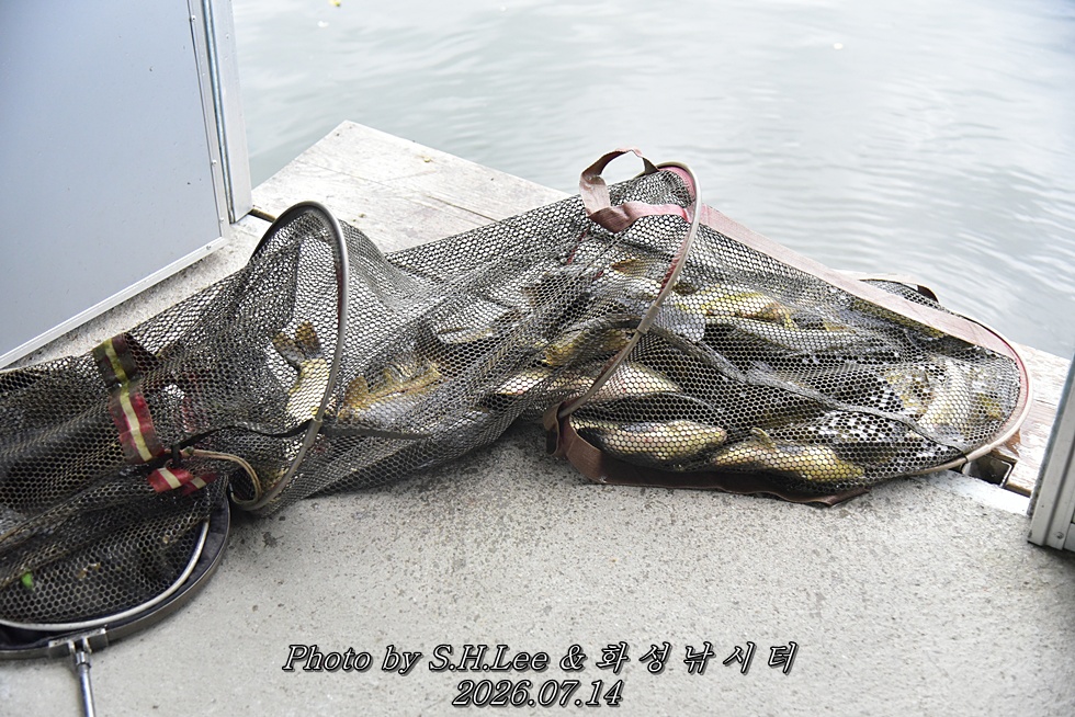 LEE_6167.JPG