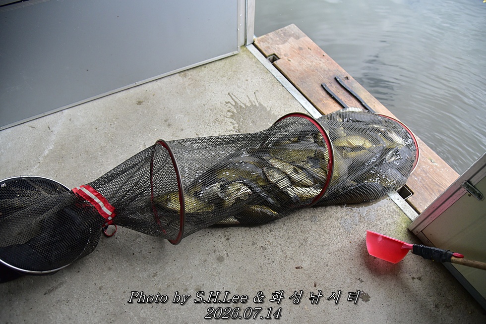 LEE_6171.JPG