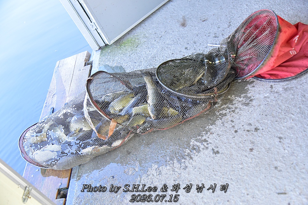 LEE_6186.JPG