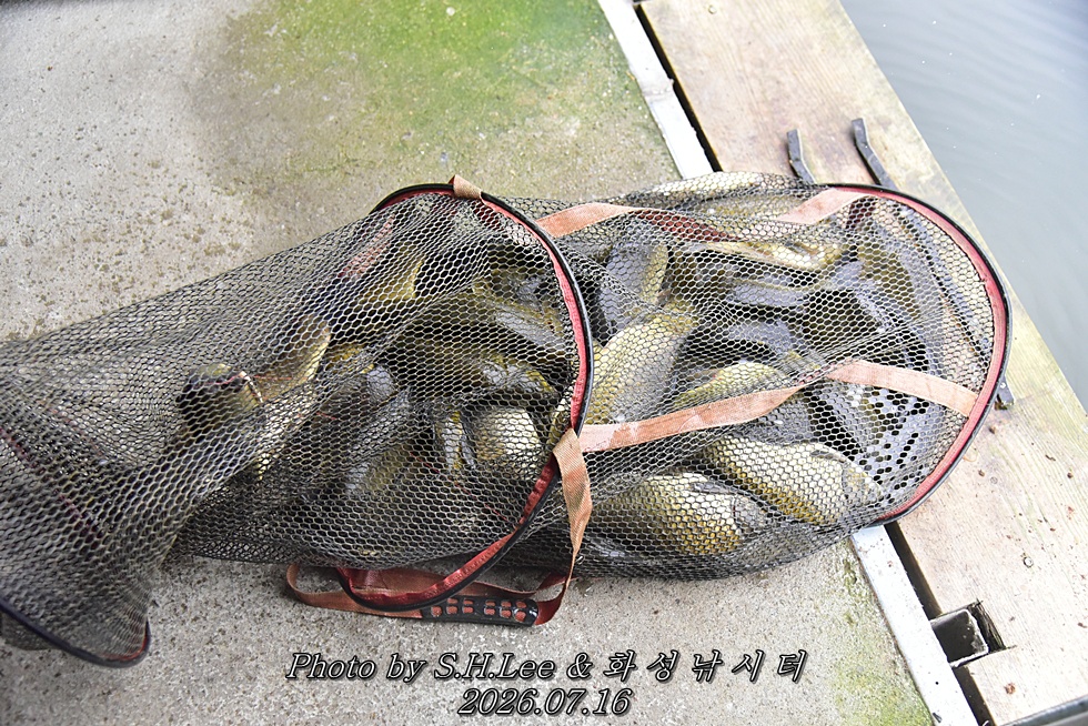 LEE_6206.JPG