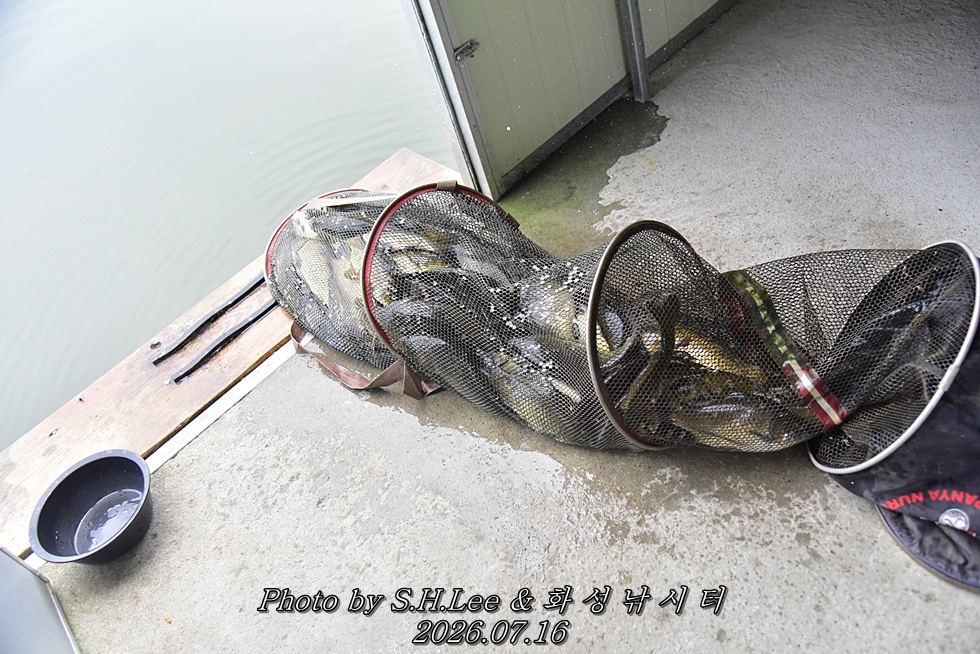 LEE_6229.JPG