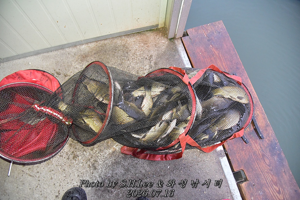 LEE_6238.JPG