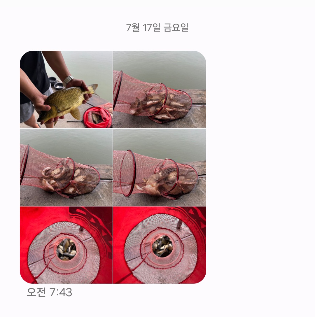 Screenshot_20260717_074328_Messages.jpg