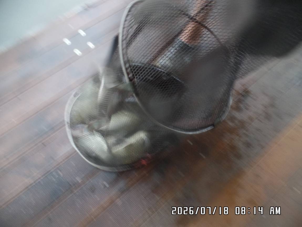 SAM_6717.JPG