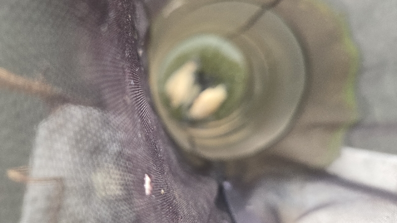 [ũ�⺯ȯ]20260719_081027.jpg