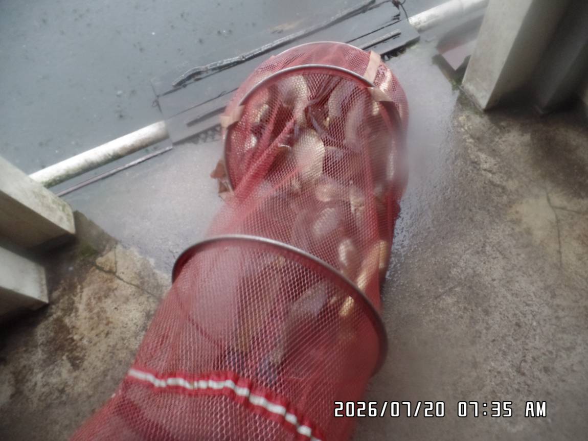SAM_6822.JPG