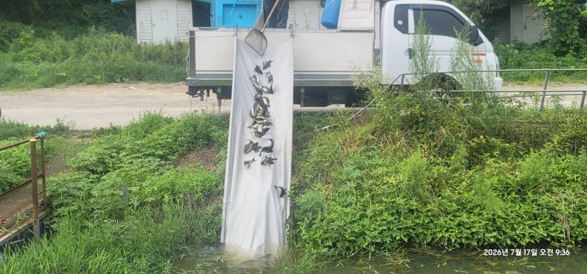 KakaoTalk_20260720_130859400_03.jpg