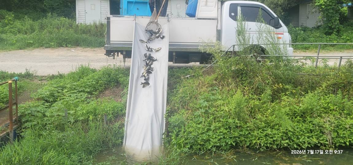 KakaoTalk_20260720_130859400_02.jpg