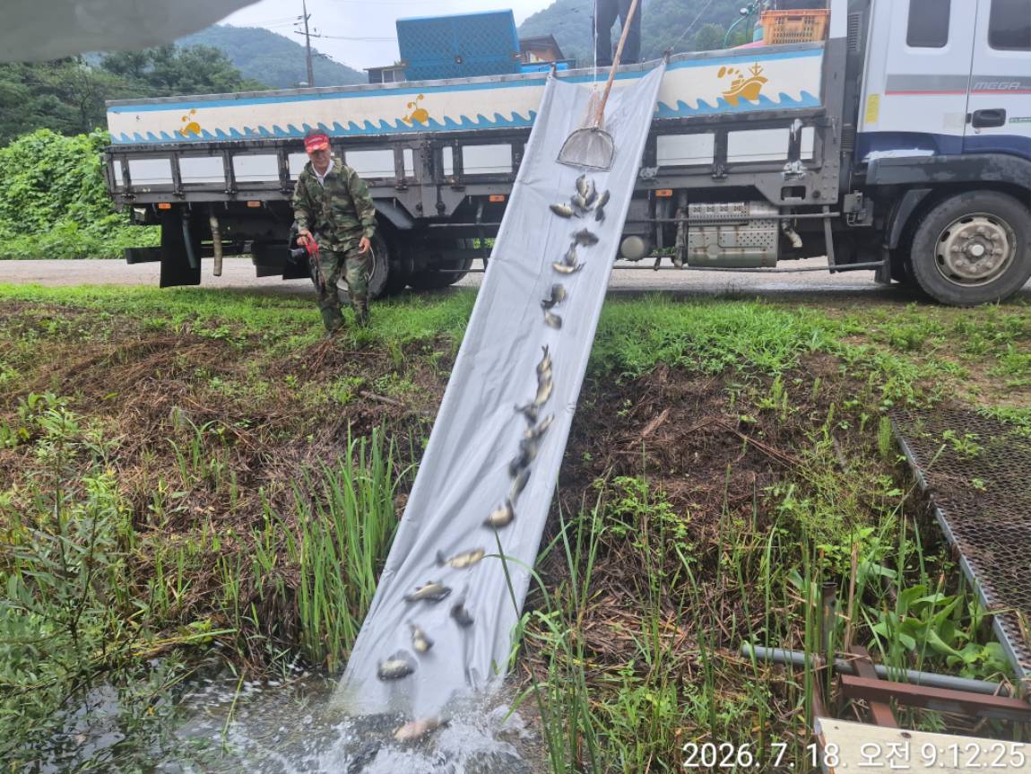 KakaoTalk_20260720_130843689_20 (1).jpg