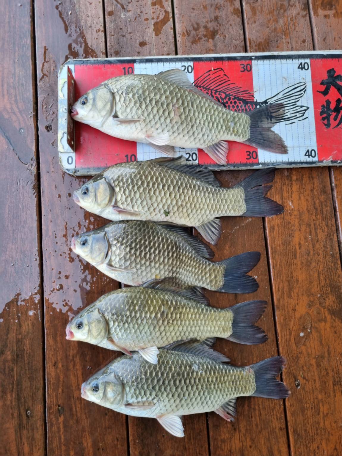 KakaoTalk_20260720_150246670_14.jpg