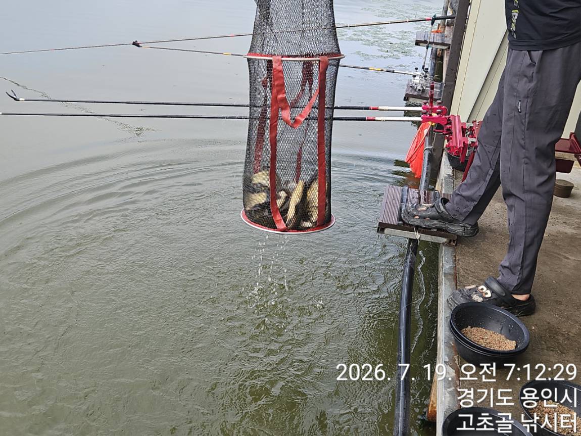 1784517752006.jpg
