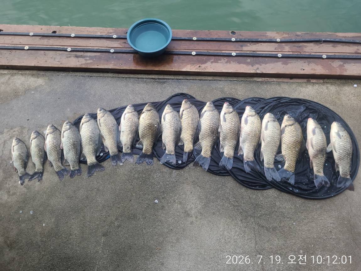 KakaoTalk_20260720_074311514_19.jpg