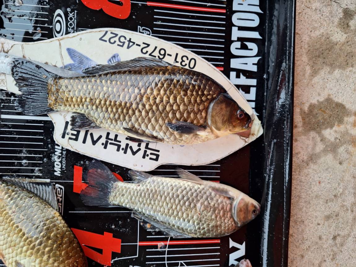 KakaoTalk_20260720_155329290_06.jpg